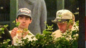Joe Jonas Spotted With Brother Nick Jonas Night Before Sophie Turner Sues