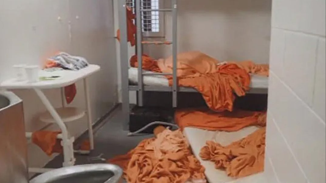 1222-Jeffrey-Epstein-Cell-PRIMARY