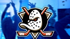 anaheim ducks party main gettu