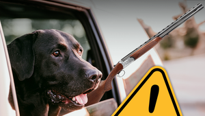 main dog shotgun woman getty 2