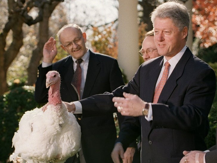 Presidents Pardon Poultry -- See The Thankful Turkeys!