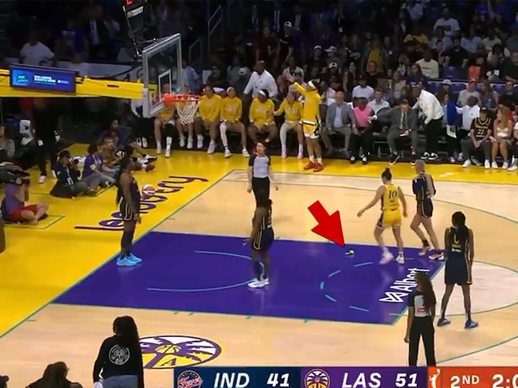 080525_wnba_toy_plum