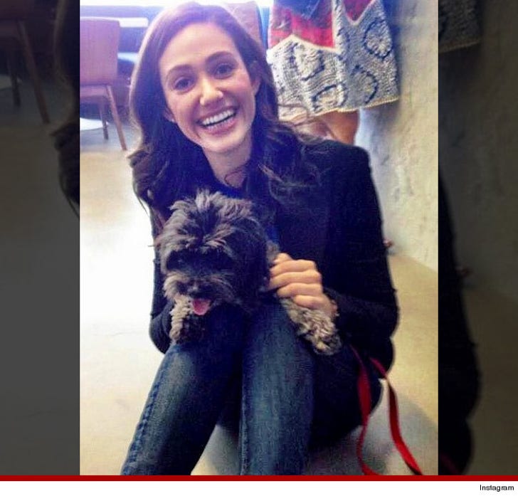 Celebrity Dogs Living Better Than You On National Puppy Day :: 0323-puppy-pic-24