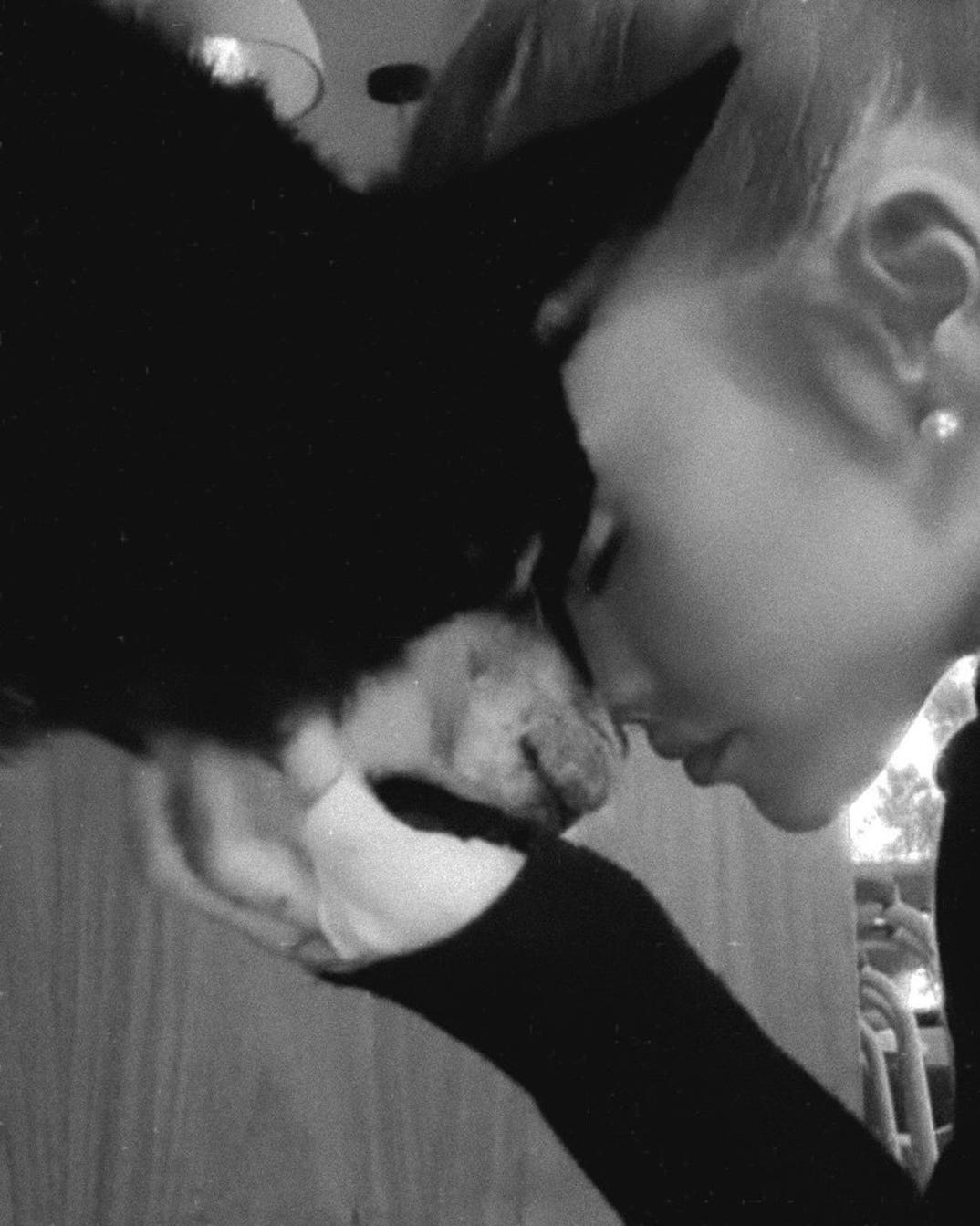 Remembering Ariana Grande Dog Coco 6