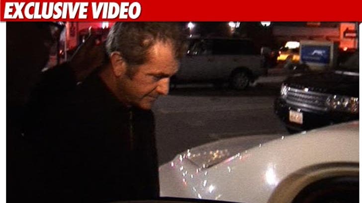 0326_mel_gibson_video_ex