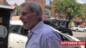 Harrison Ford -- Prescient, Ironic Flying Advice Way Before the Crash (VIDEO)