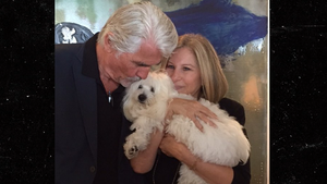 Barbra Streisand Successfully Cloned Her Late Dog Samantha