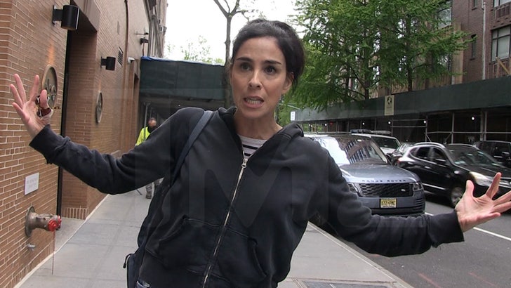 sarah silverman 2022