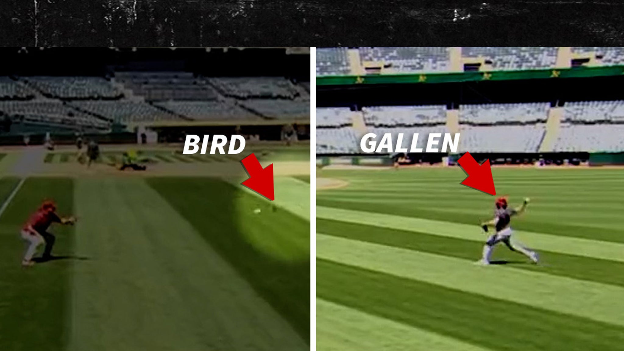 美国职业棒球大联盟明星扎克加伦用热身赛杀死一只鸟，兰迪约翰逊色调