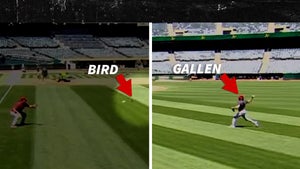 MLB Star Zac Gallen Kills Bird With Warm-Up Pitch, Shades Of Randy Johnson