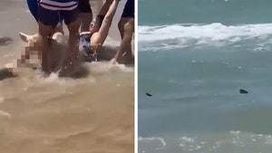 Shark Attack At South Padre Island, Gnarly 'Jaws'-Like Rescue Video
