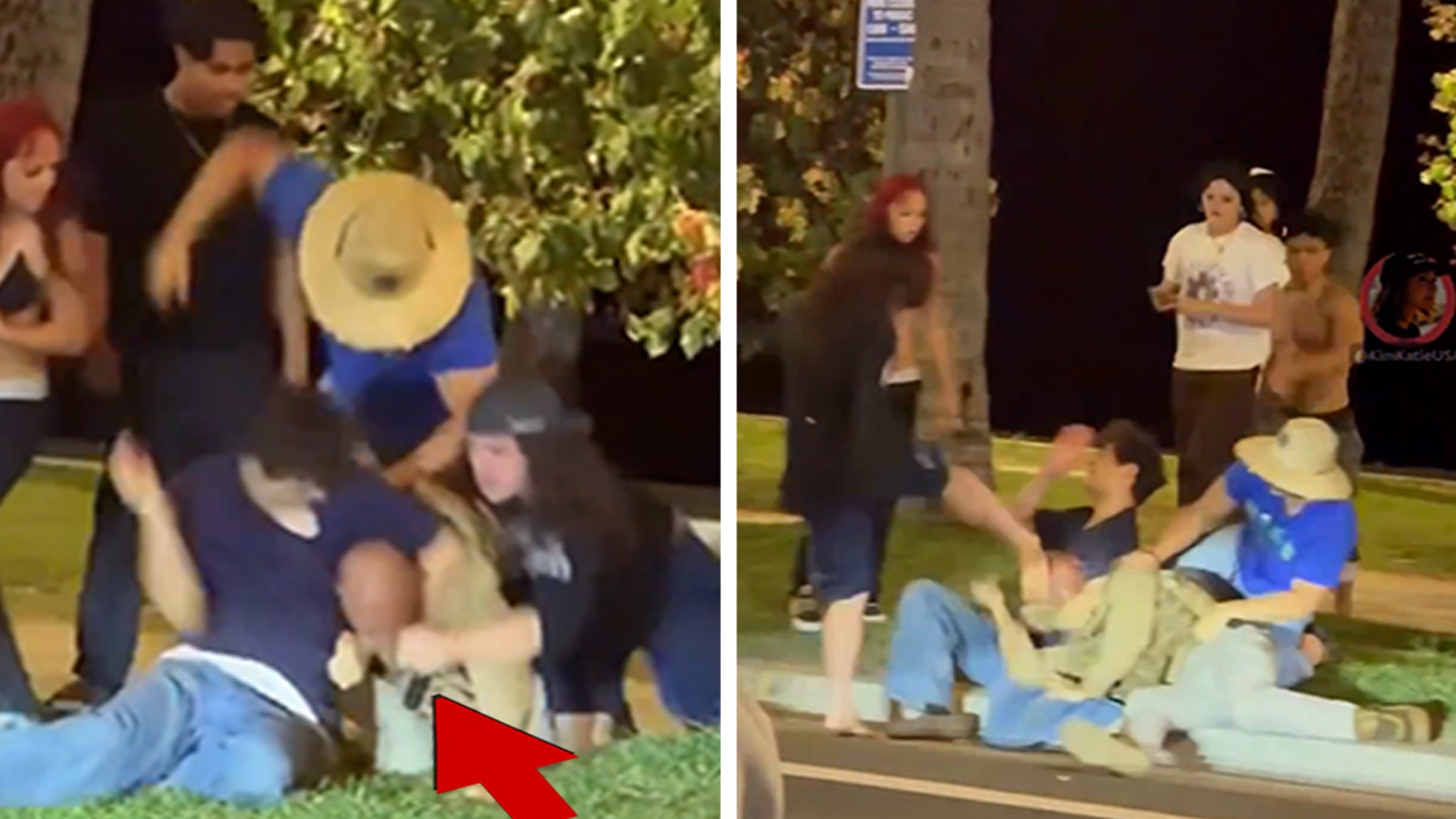 DHS Says Man Dressed as ICE Agent Beaten at Hawaii Protest Not With Agency