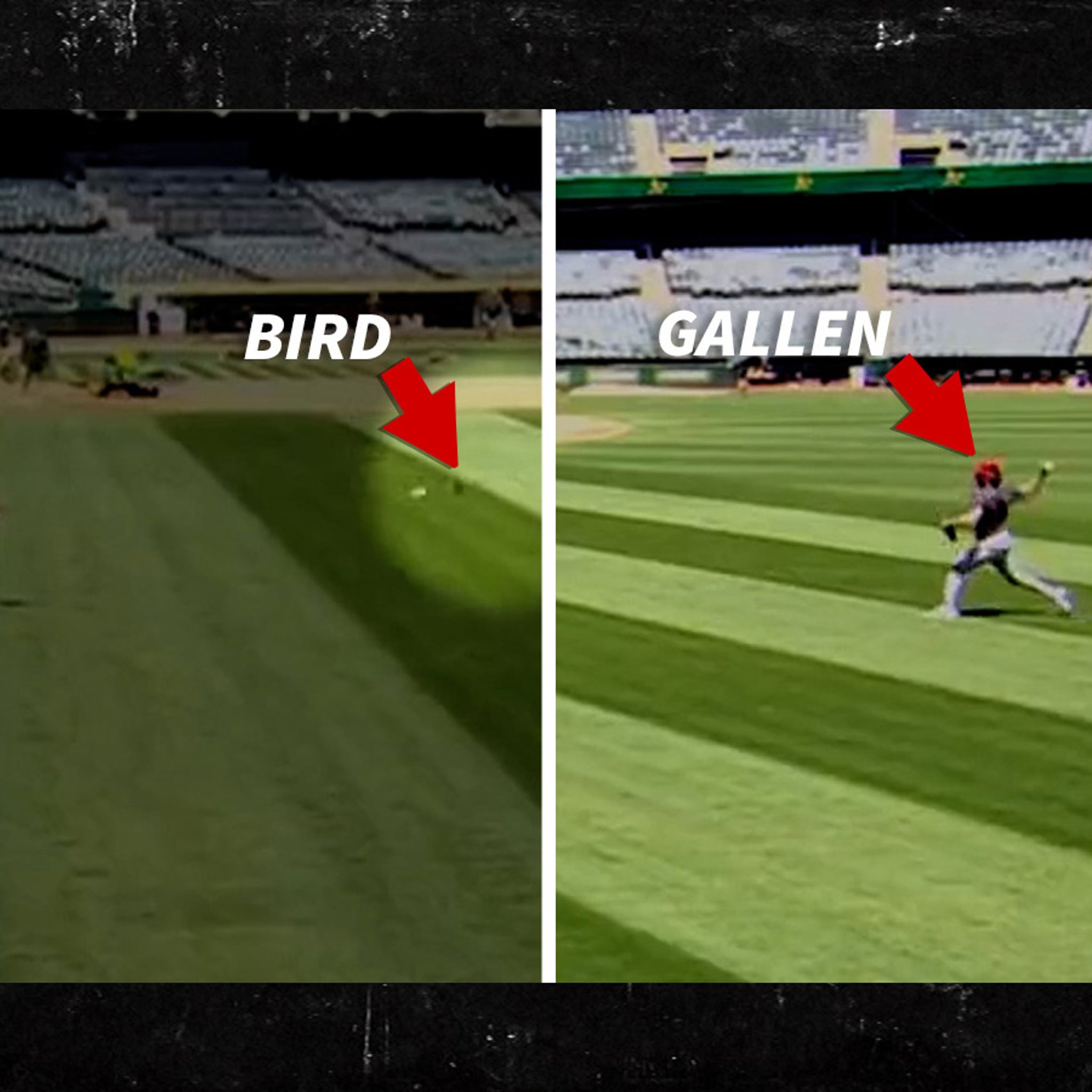 Pitcher Zac Gallen channels Randy Johnson, hits bird with pitch