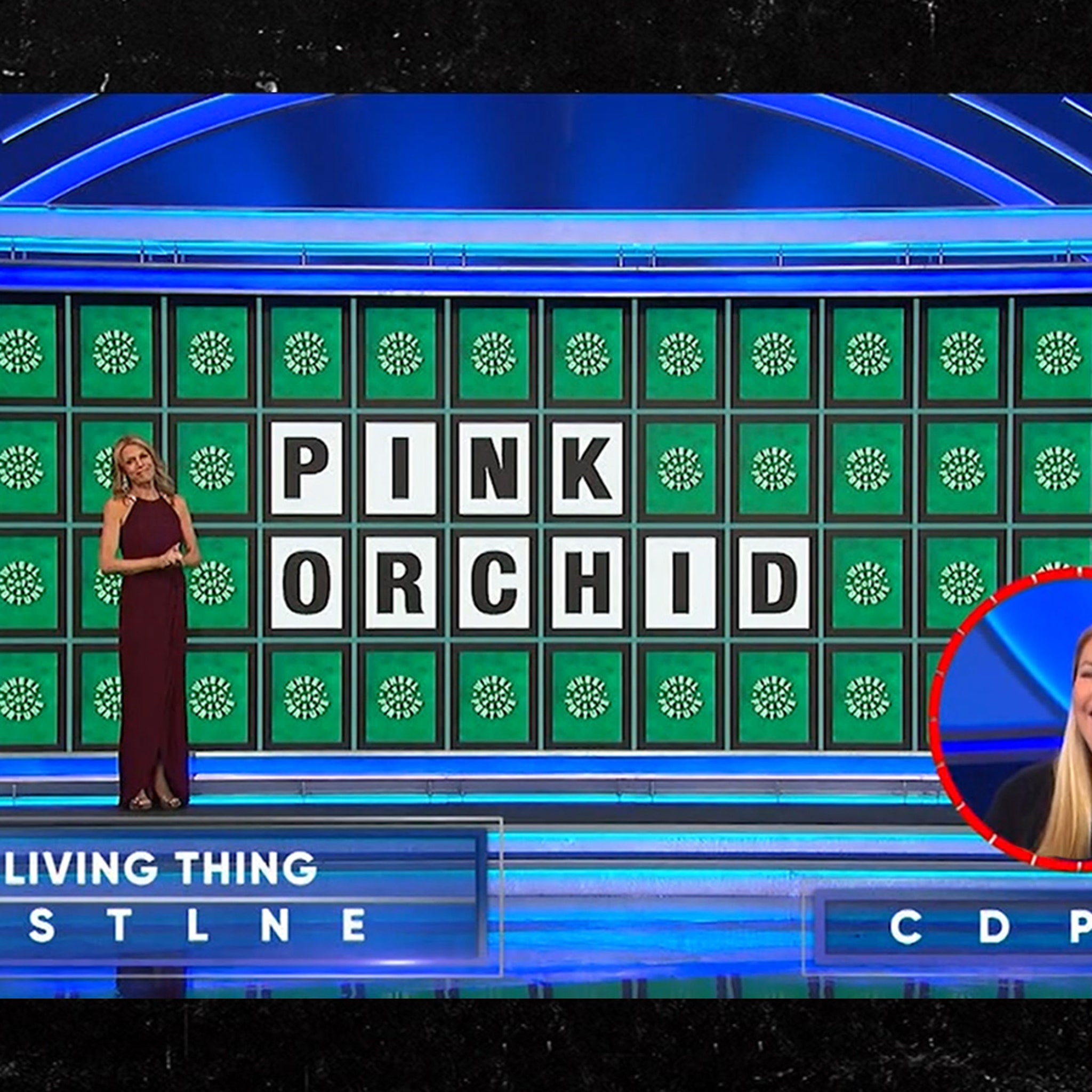 Wheel of Fortune' Fans Think Recent Contestant Robbed by Judges