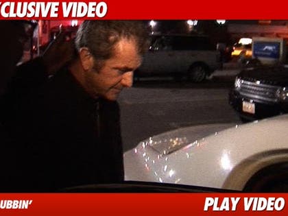 0326_mel_gibson_video_ex