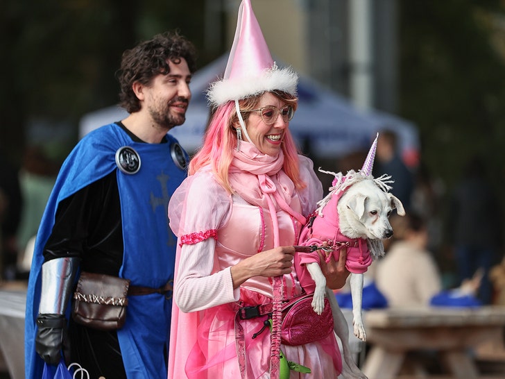 Toronto dog costume halloween