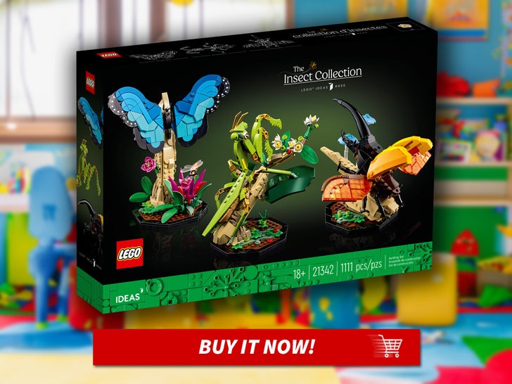 LEGO Ideas-The-Insect-Collection-MAIN