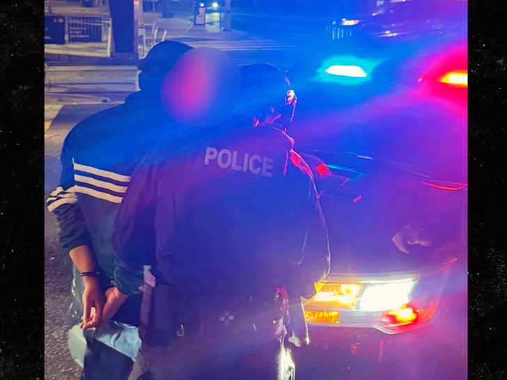 reiner arrested instagram