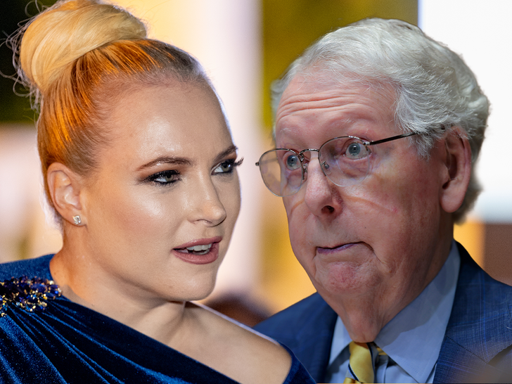 main meghan mccain mitch mcconnell getty