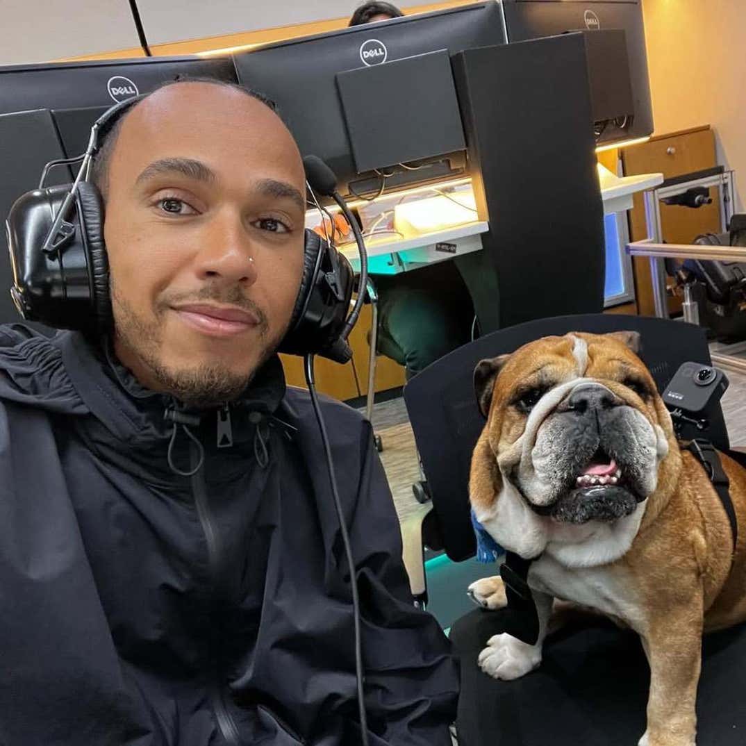 Lewis Hamilton And His Dog Roscoe 2