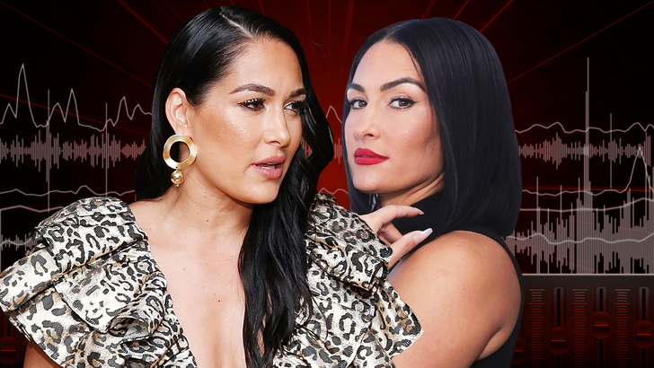 Brie Garcia (Bella) Speaks on ‘Trauma’ Amid Sister Nikki’s Divorce