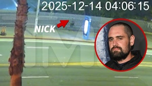 nick-reiner-primary-v2-12-17-2025