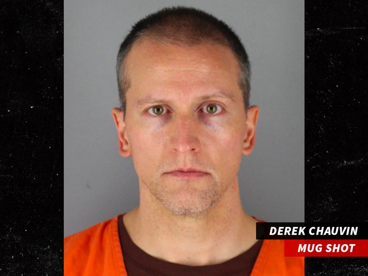 0419-Derek Chauvin-Mugshot-01