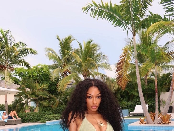 Megan Thee Stallion's Hot Shots