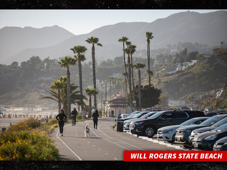 sub Will Rogers State Beach santa monica getty