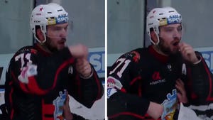 Pro Hockey Player Taunts Black Opponent With Vile, Racist Banana Gesture