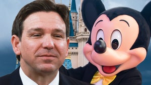Desantis Mickey Mouse Main