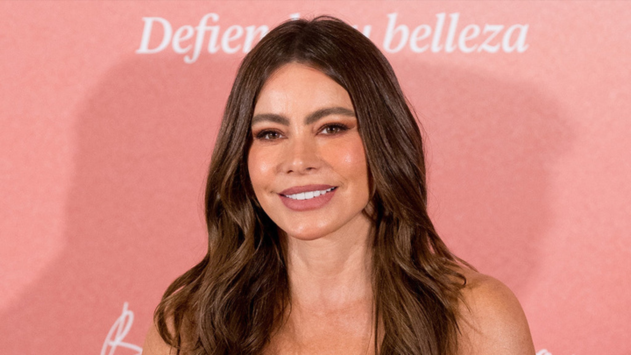 Sofia Vergara's Former Husband ... And Boyfriends!