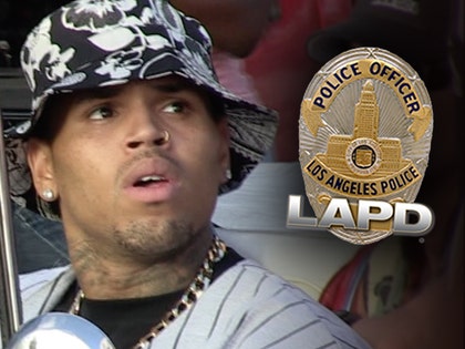 0211-chris-brown-lapd-tmz-01