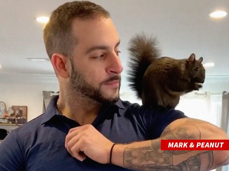 Peanut The Squirrel Owner Mark Longo Denies Using Tragedy to Promote Porn