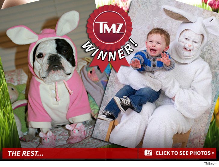 TMZ's Funny Bunny Photo Contest