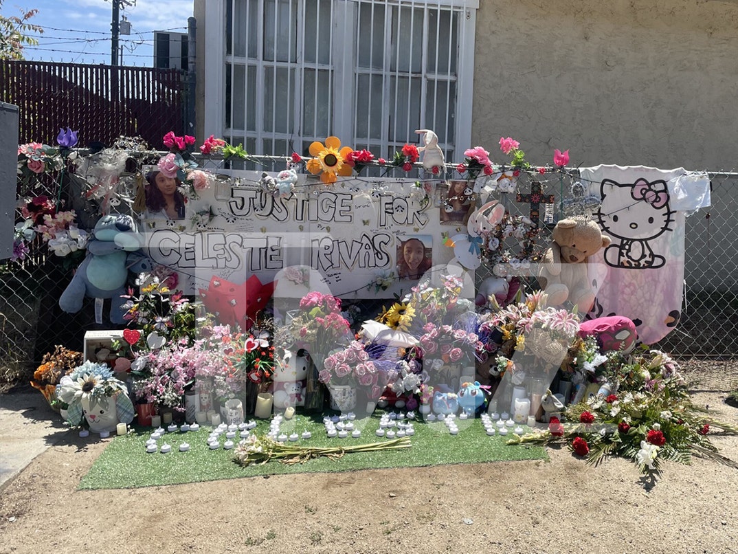 celeste-rivas-hernandez-memorial-tmz-1