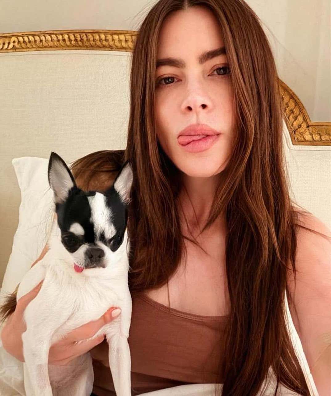 Sofia Vergara