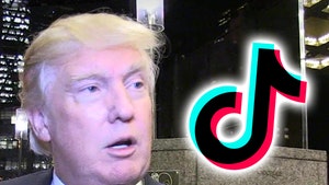 Trump Says He'll Ban TikTok from the United States