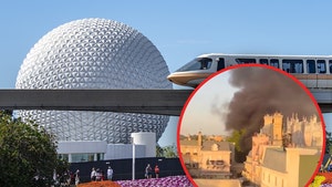 epcot disney world fire