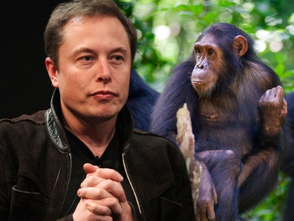 0717-elon-musk-getty-01