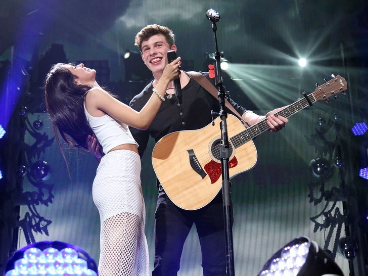 Shawn Mendes And Camila Cabello Together