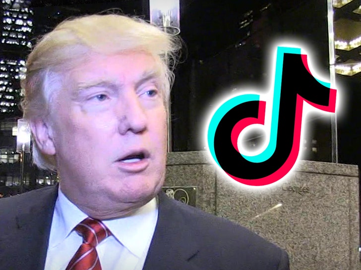 Trump Says He'll Ban TikTok from the United States