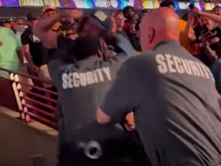 AEW Fan, Security Guard Exchange Punches In Wild Scene At Wrestling Event.jpg