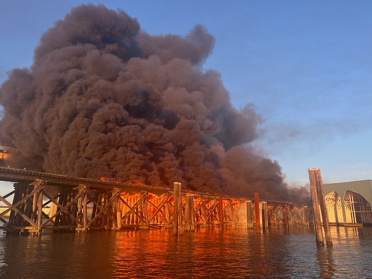 marpole rail bridge fire