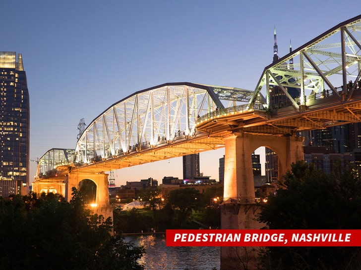 Pedestrian Bridge nashville