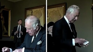 King Charles Gets Upset Over 'Bloody' Leaky Pen During Signing Ceremony