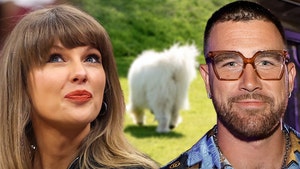 taylor swift and travis kelce white dog getty 1