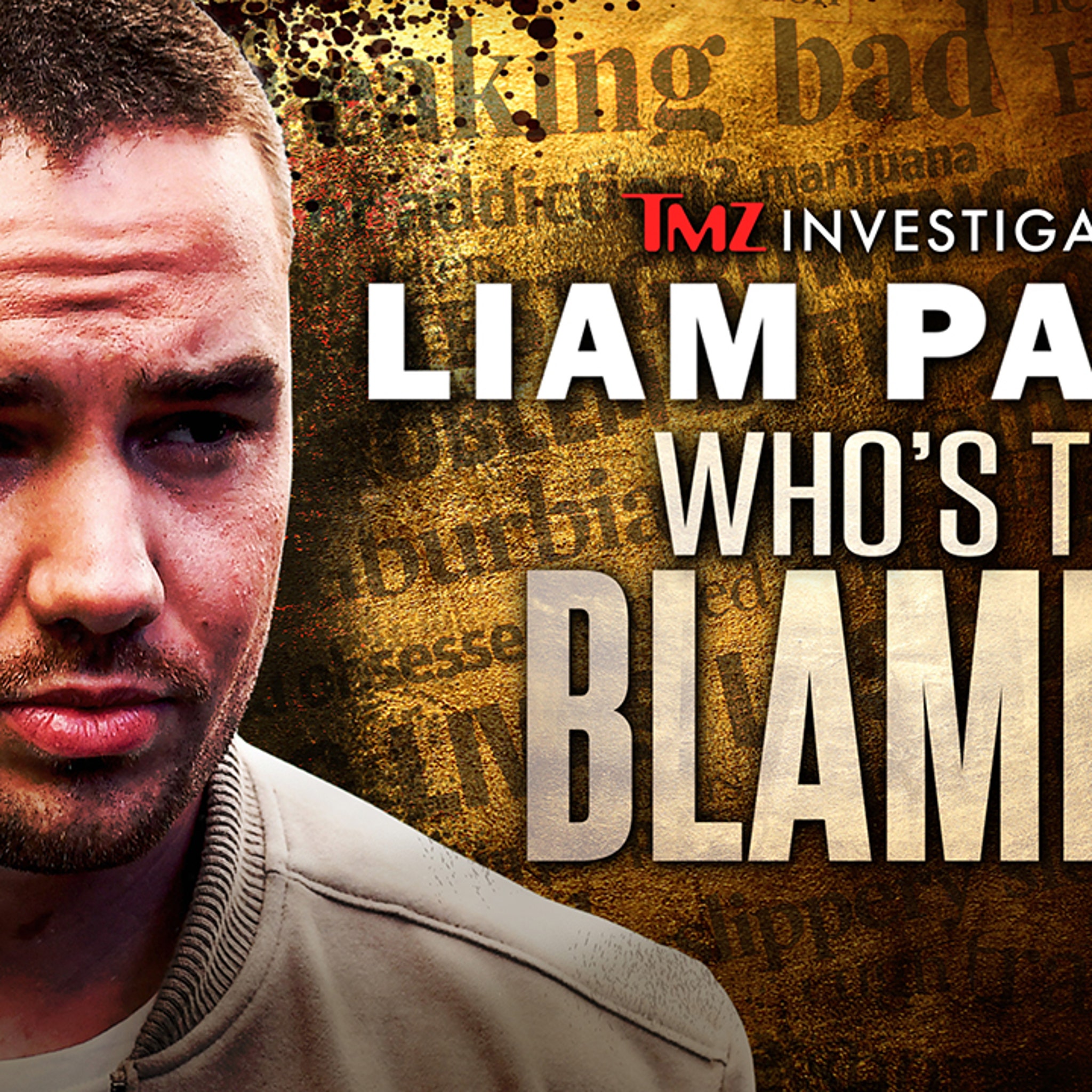 TMZ Investigates | Liam Payne: Who's To Blame?