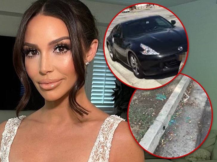 Scheana Shay Says Car Was Stolen From Right In Front of House