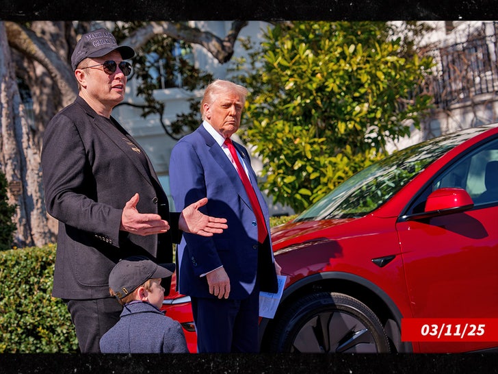 elon musk donald trump tesla sub getty swipe 2